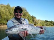 great lake trout September